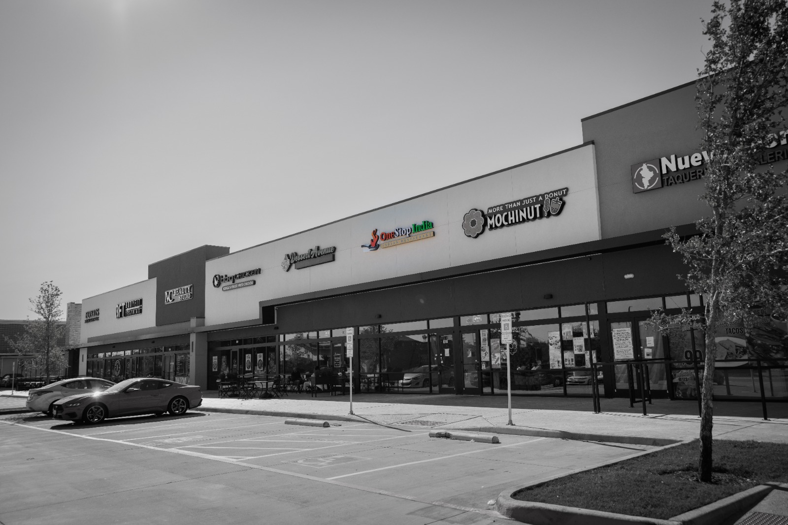 WhatsApp Image 2024-10-16 at 11.25.27 (1)